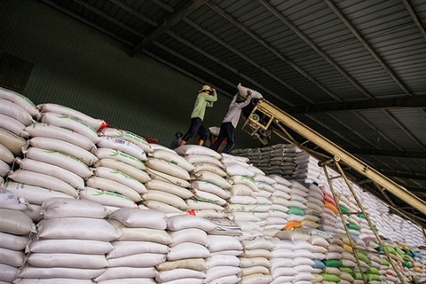  Carregamentos de arroz do Uruguai chegarão ao Equador em setembro