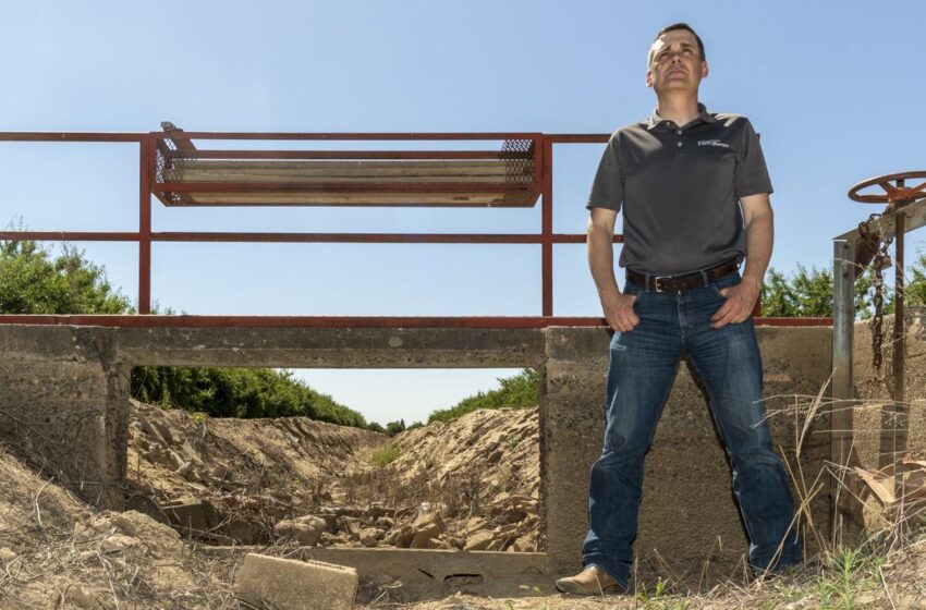  Agricultores da Califórnia tomando decisões difíceis por causa da seca
