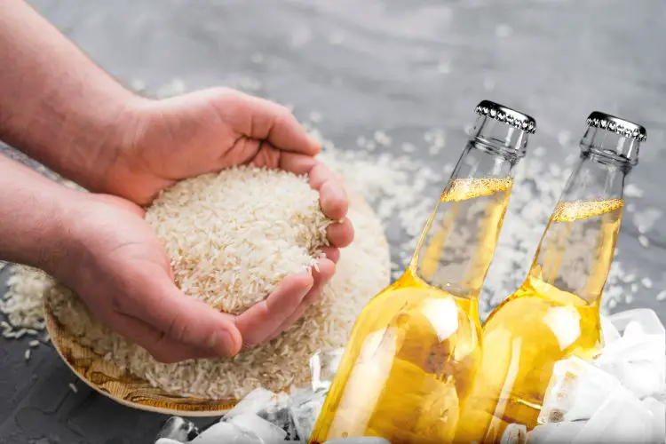  Cerveja pode ter alavancado plantio de arroz na China há cerca de 10 mil anos