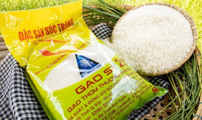  Exportações de arroz do Vietnã alcançam recorde
